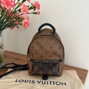 Louis Vuitton Palm Springs mini monogram